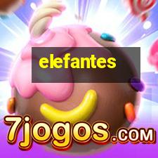 elefantes-africano-e-asiatico